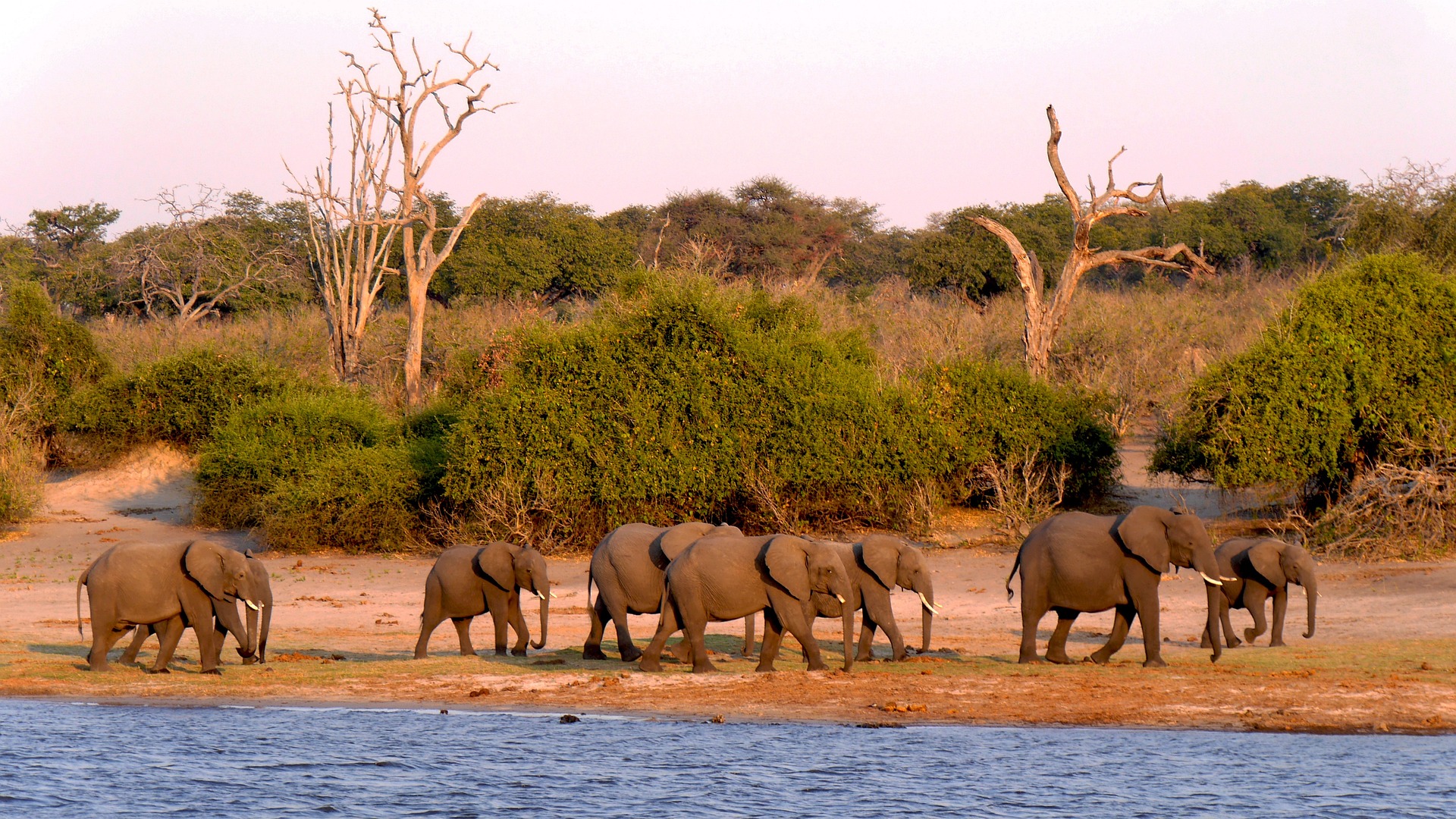 Botswana visa requirements checklist for Delhi consulate