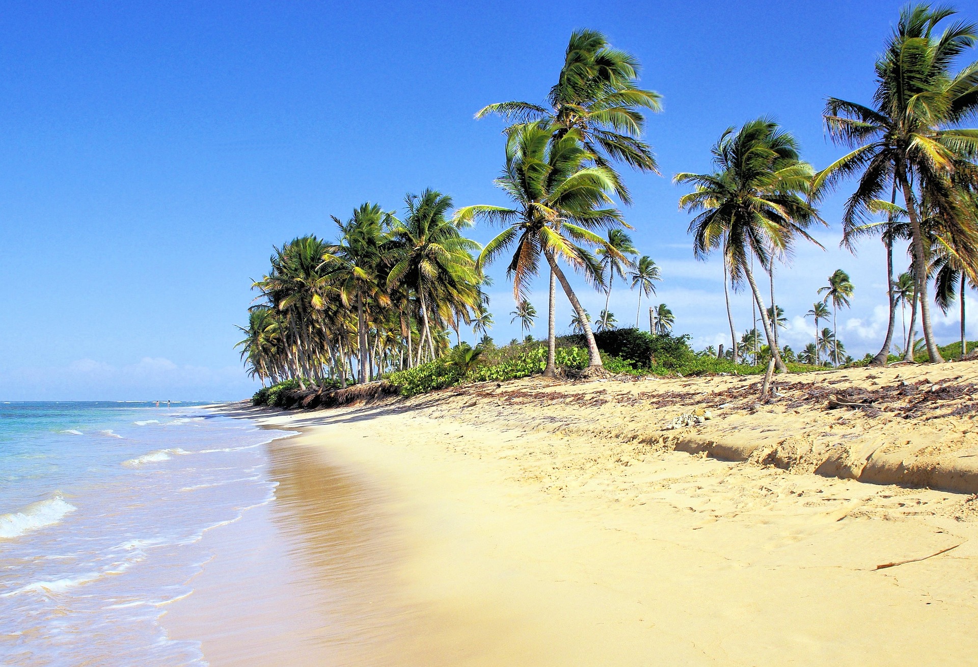Dominican Republic visa requirements checklist for Delhi consulate