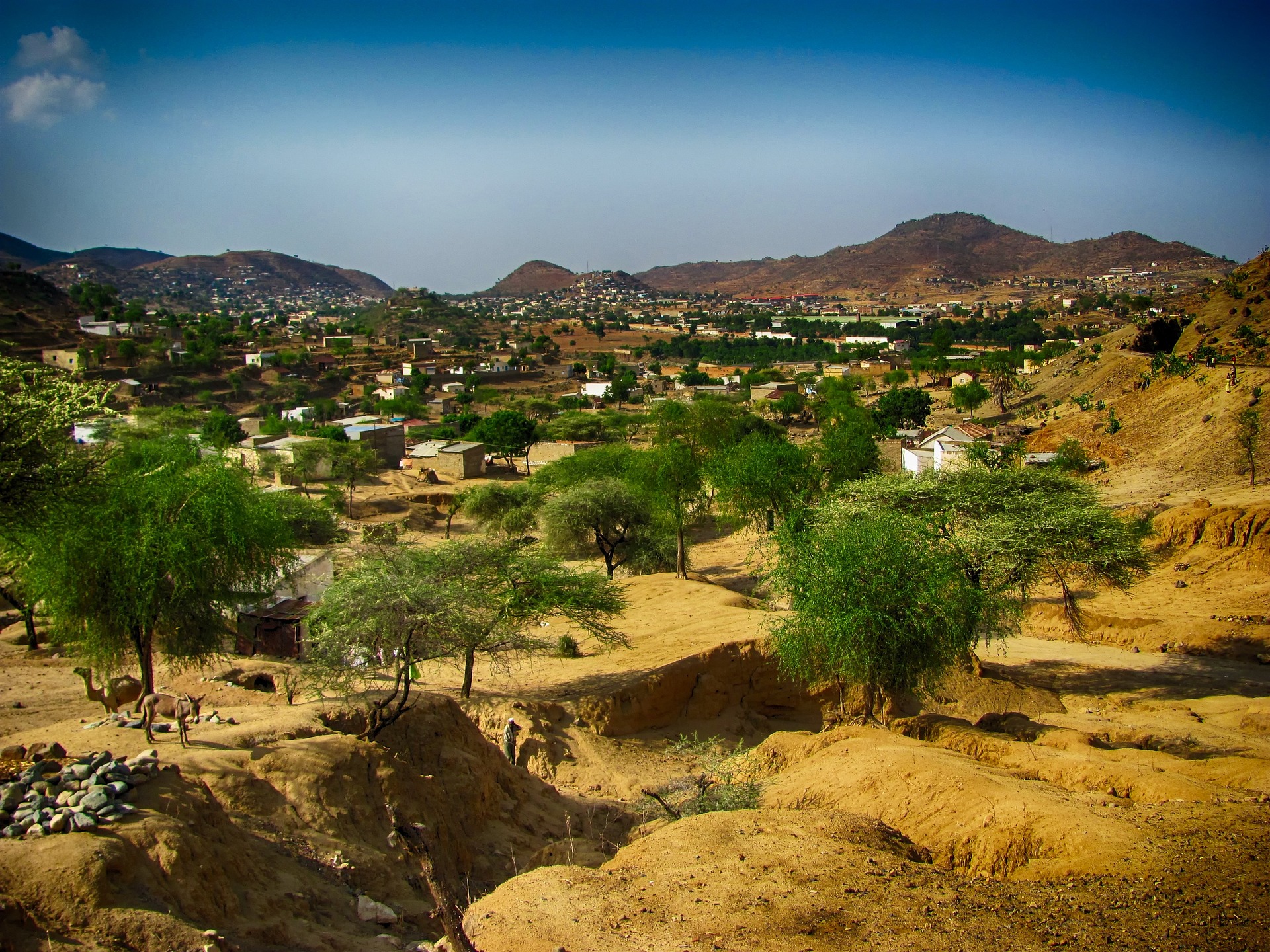 Eritrea visa requirements checklist for Delhi consulate
