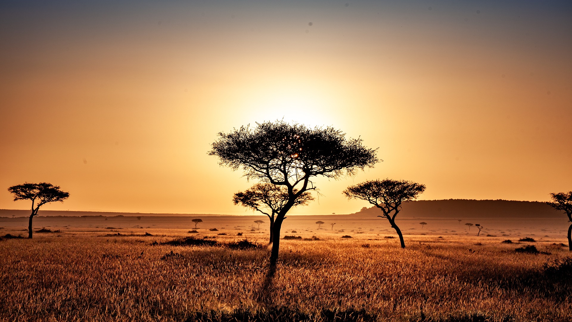 Kenya visa requirements checklist for Delhi consulate