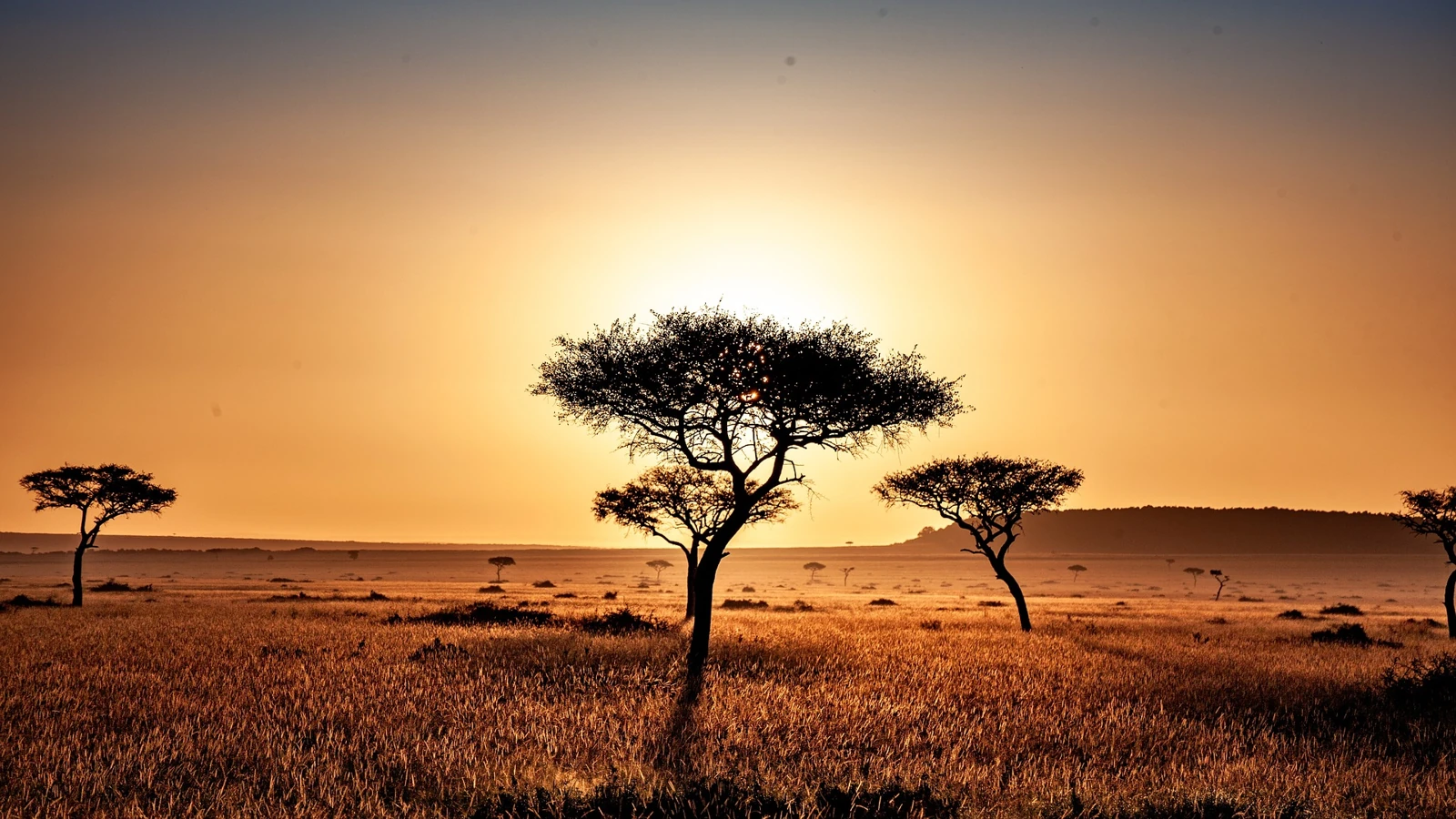 kenya work visa requirements from delhi consulate