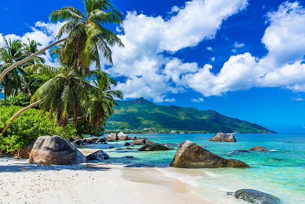 Seychelles visa requirements checklist for Delhi consulate