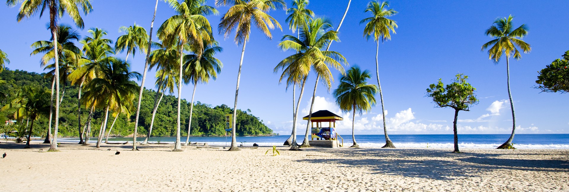 Trinidad And Tobago visa requirements checklist for Delhi consulate