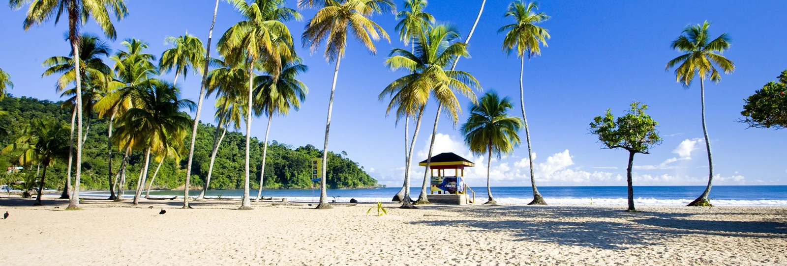 trinidad and tobago work visa visa requirements from delhi consulate